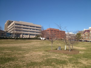 Old Town Commons (a townhouse community) is close to Oronoco Bay Park
