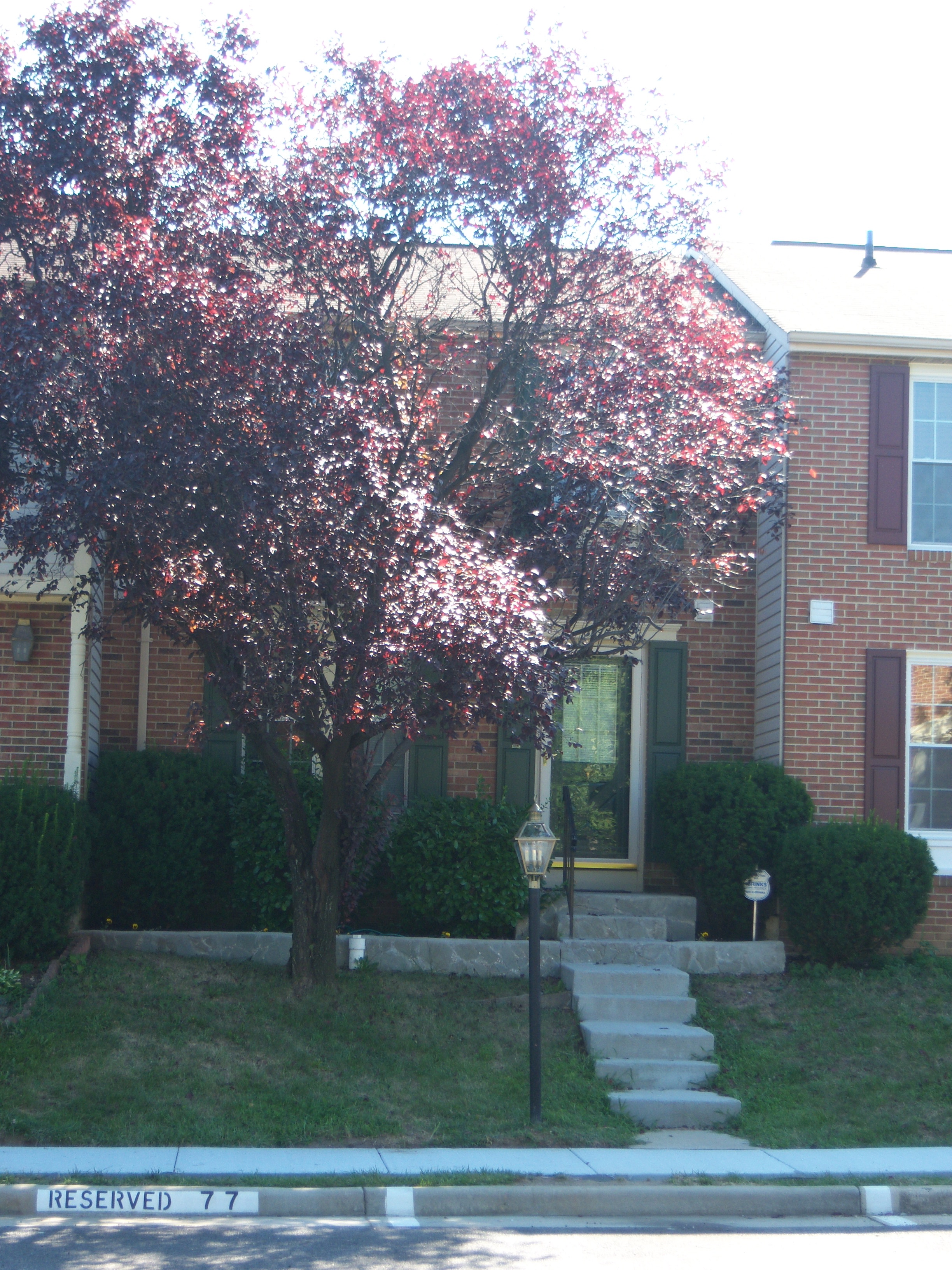 Van Dorn Village