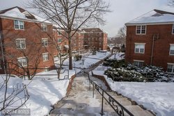 Arlington Real EState