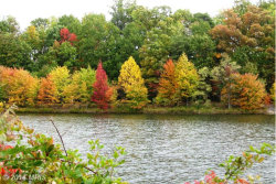 condo with lake