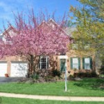 Houses with Lawn