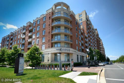 3650 GLEBE RD, Unit 344, Arlington VA, 22202