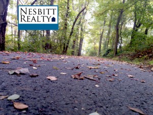 Fall at the Mt Vernon Trail, near Welllington