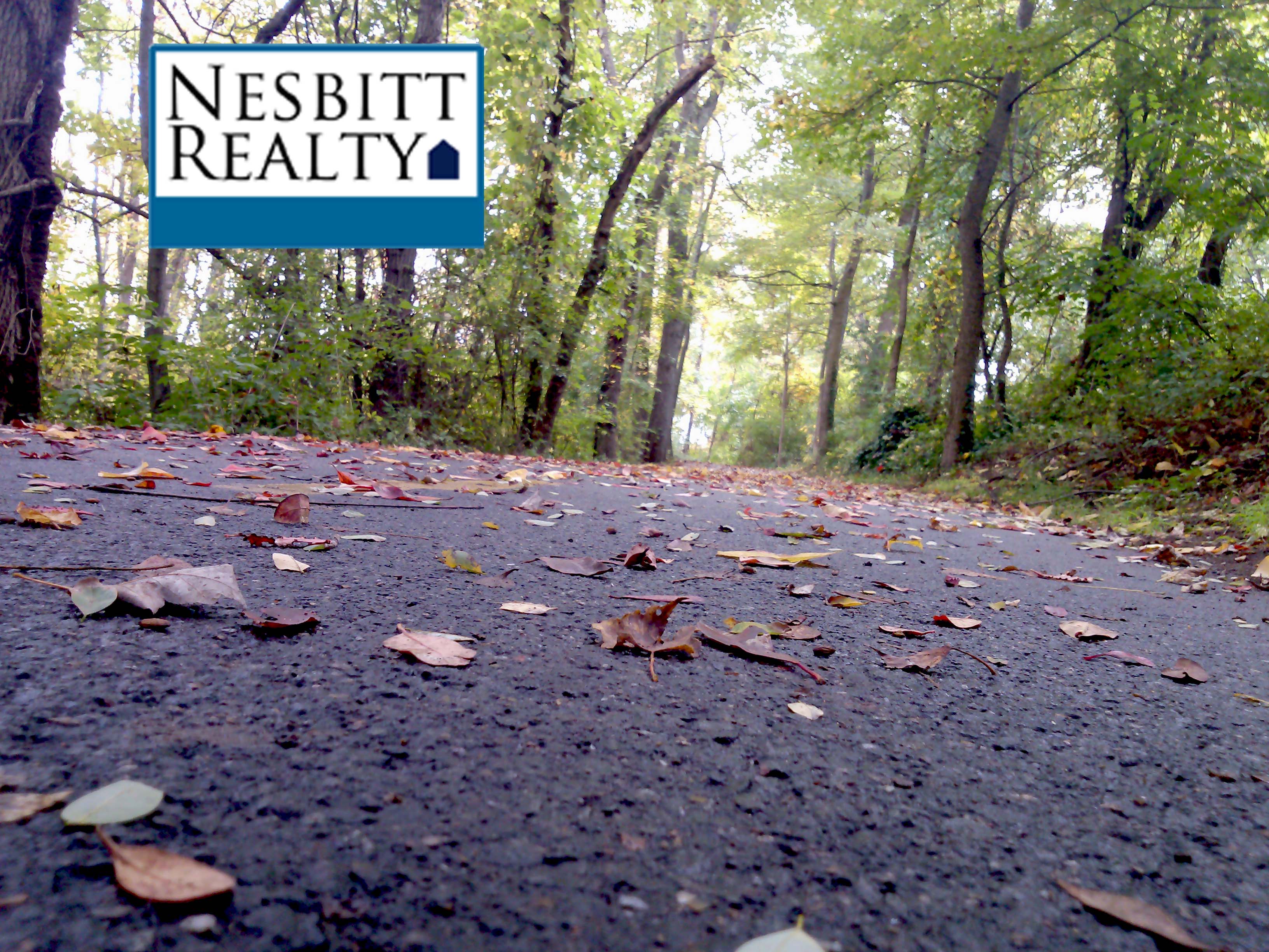 Fall at the Mt Vernon Trail, near Welllington