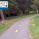 Some nature is groomed, near the Mt. Vernon Trail