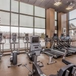 Ellipticals and treadmills at the Midtown gym
