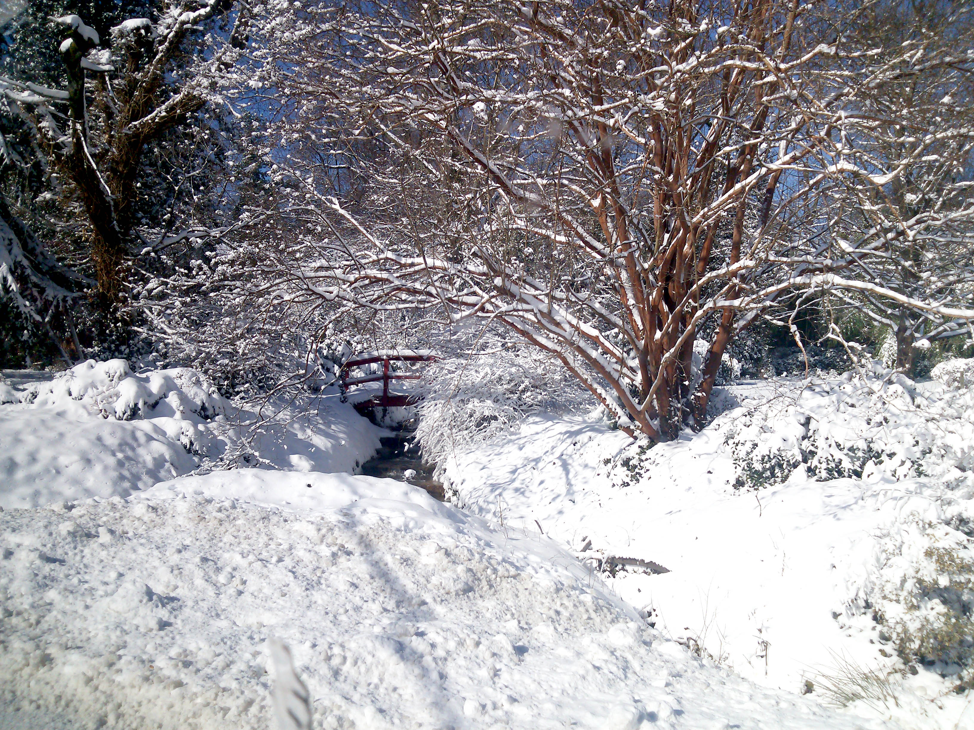 Snow around a bridge