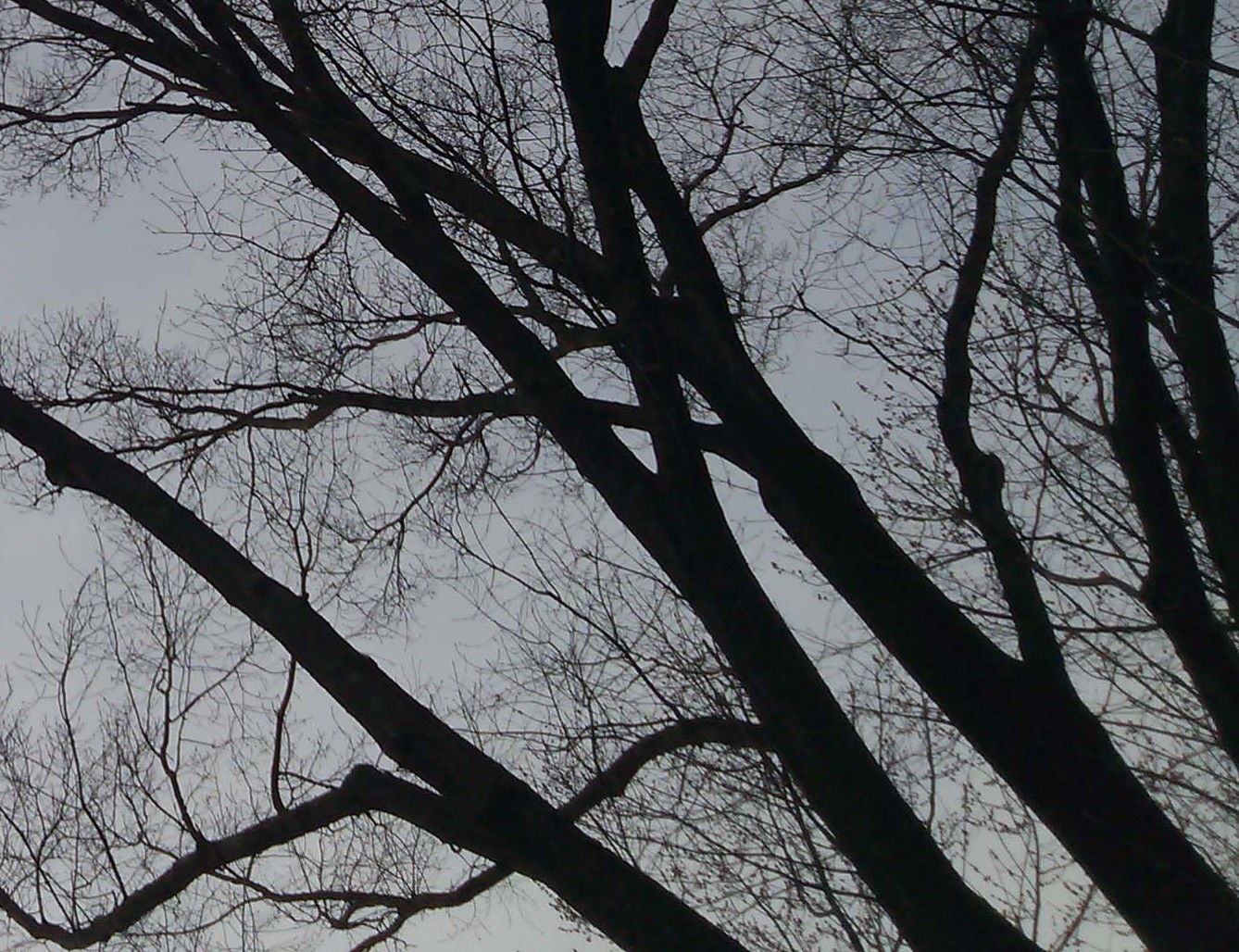An artistic photo