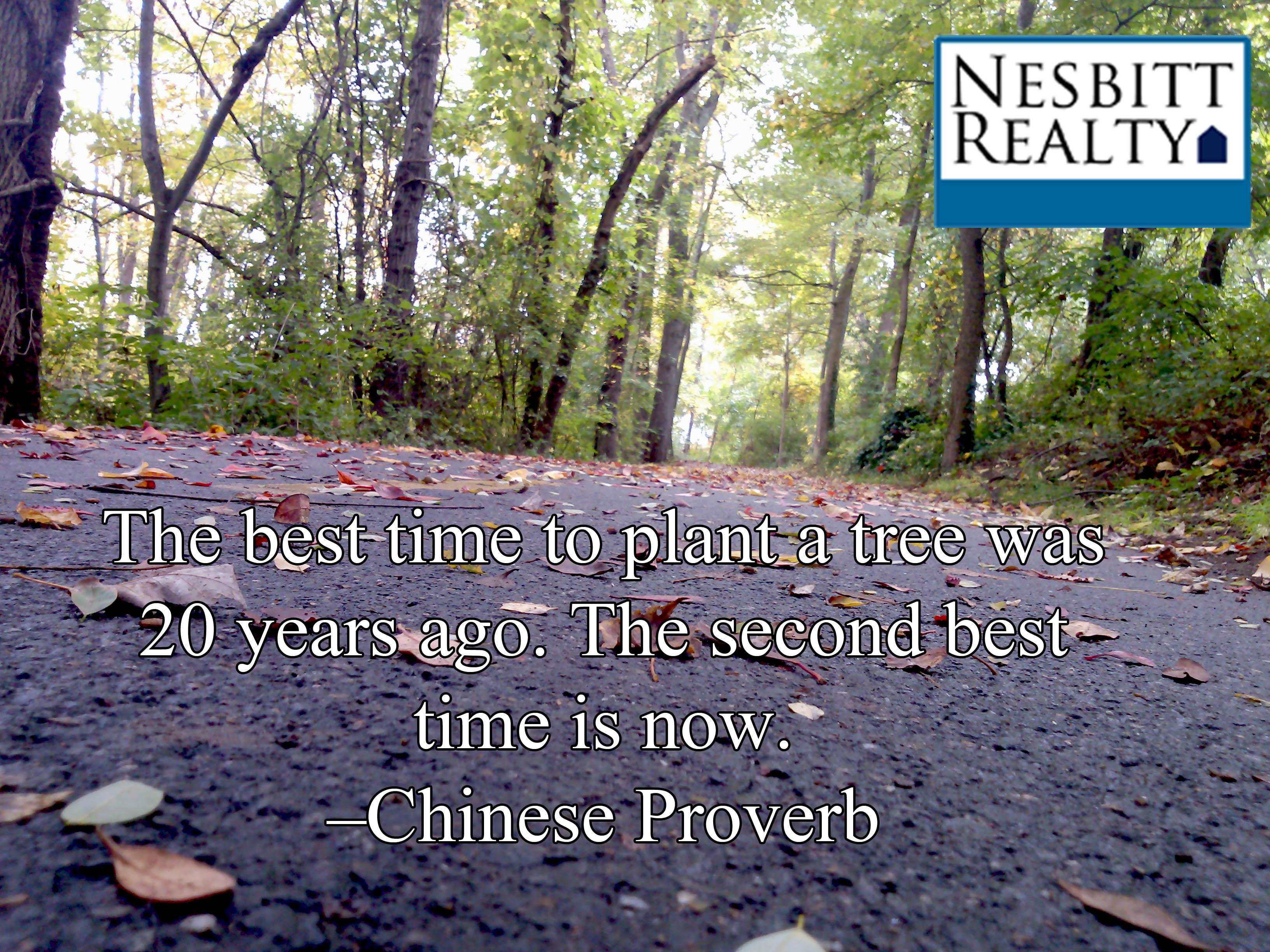 Dead leaves on a paved trail