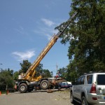 Clean up crew after a storm