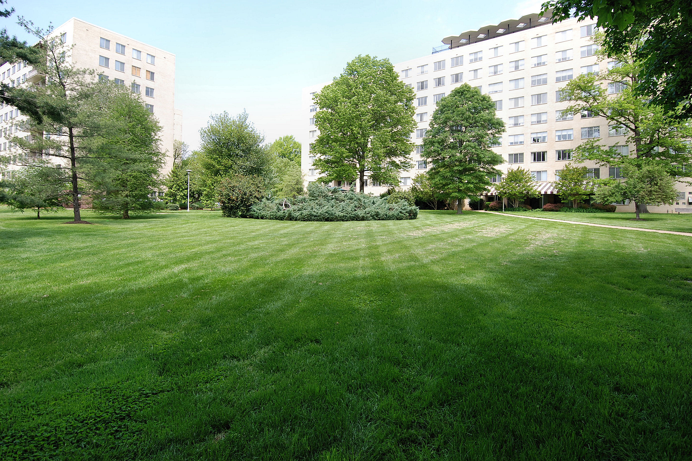 A mowed lawn
