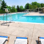 The pool on a sunny day