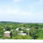 The view from the roof deck
