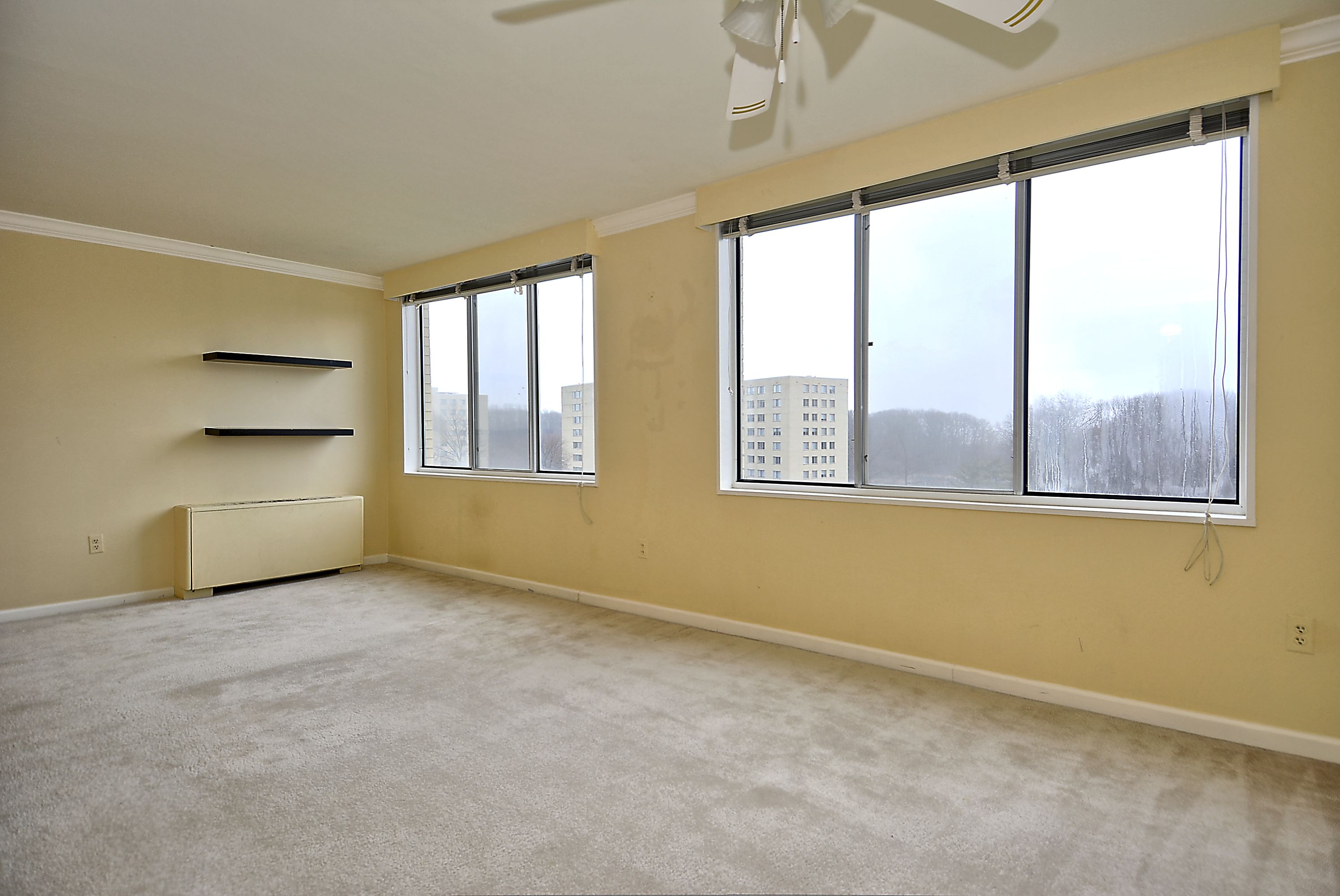 Two windows in the dining room