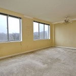 Carpeted living room