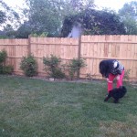 Mom and Grover in front of fence