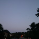 Birds fly overhead