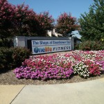 The Shops at Eisenhower East