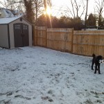 Grover in the backyard with a soccer ball