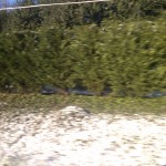 Belle Haven winter seen from Lincoln MKS