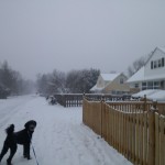 Bucknell Manor in winter snow with a poodle named Grover