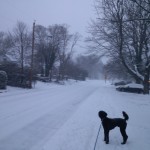 Winter in Bucknell Manor on Cavalier Drive