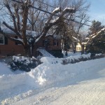 New Alexandria in winter