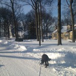 New Alexandria winter