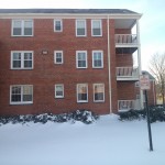 Winter in Belle View