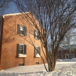 Winter in Belle View