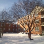 inclement weather in Belle View