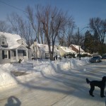 New Alexandria winter with Grover