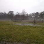 Puddles at West Grove Park