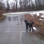 Snow day at West Grove Park