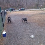 West Grove Park