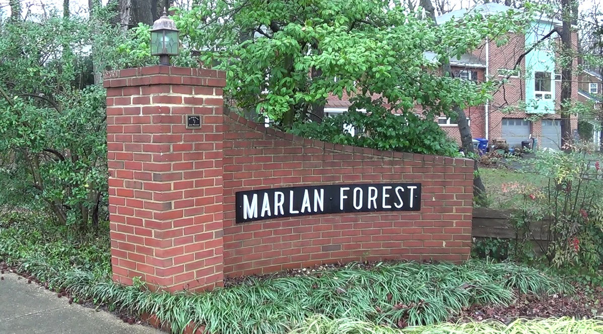 Marlan Forest