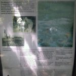 Belle Haven Marina history on Marsh Restoration