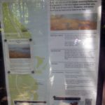 Belle Haven Marina visitor info on waterfront