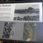 Belle Haven Marina waterfront history