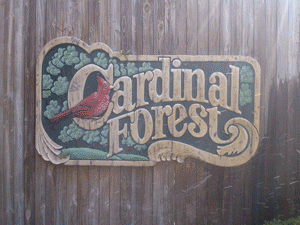 Cardinal Forest