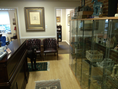 Nesbitt Realty