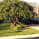 Nesbitt Realty to buy Hunter's Manor Real Estate http://nesbittrealty.com/about/contact/