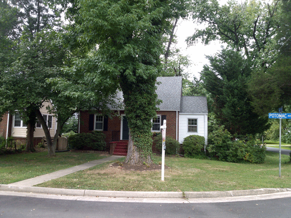 New Alexandria Listings, click to see GIF