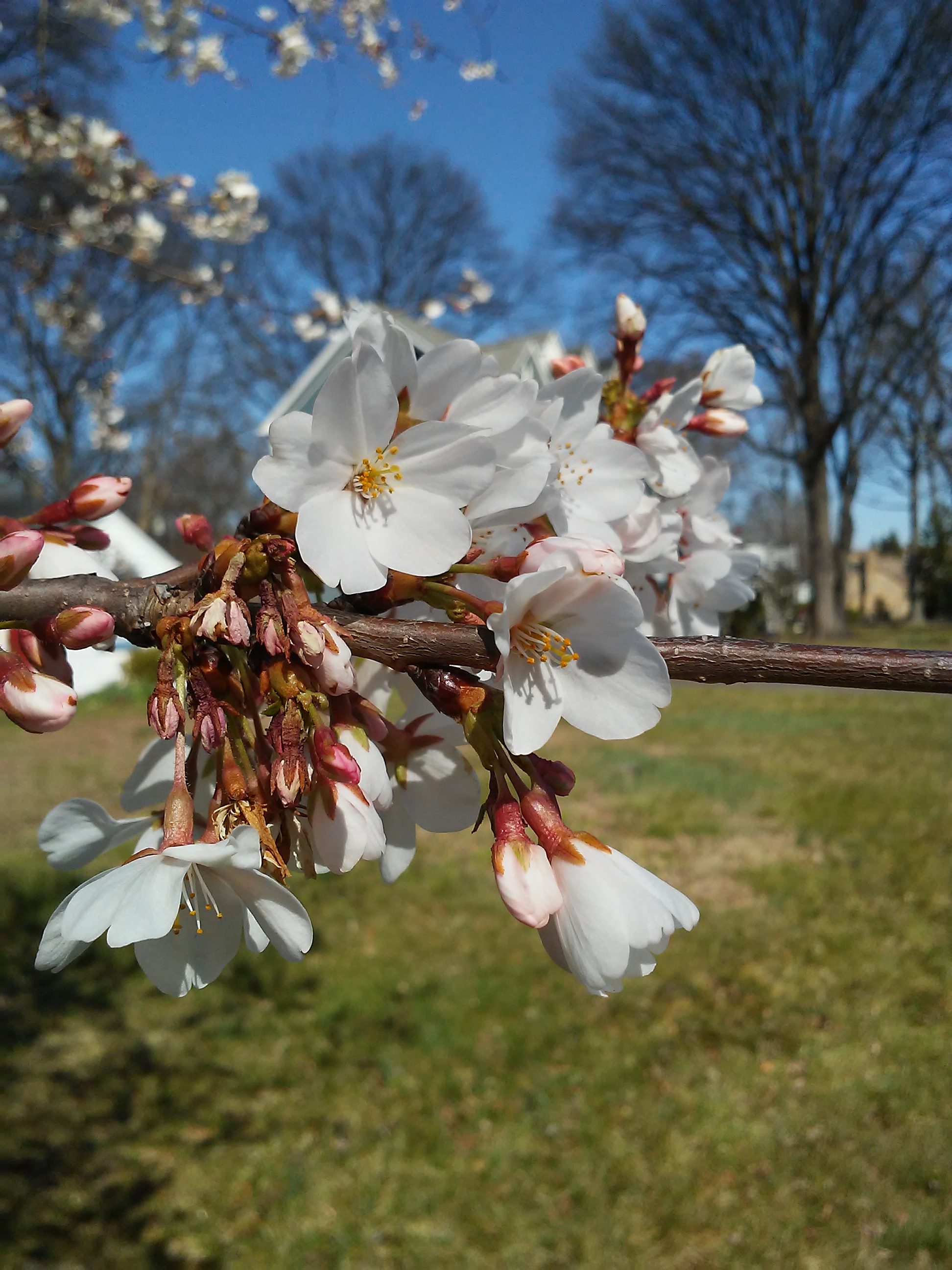 March